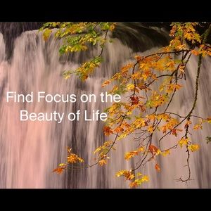 Inspiration 🌻🦋🌻🦋🌻